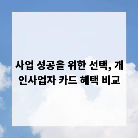 사업 성공을 위한 선택, 개인사업자 카드 혜택 비교
