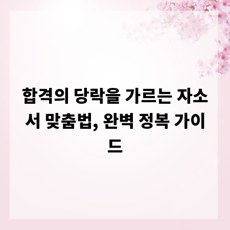 합격의 당락을 가르는 자소서 맞춤법, 완벽 정복 가이드