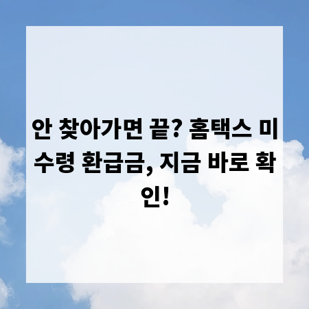 안 찾아가면 끝? 홈택스 미수령 환급금, 지금 바로 확인!