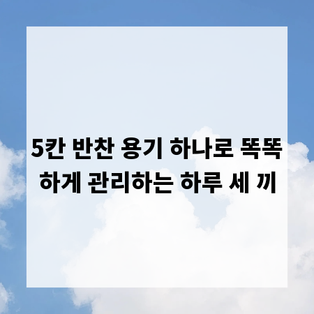 5칸 반찬 용기 하나로 똑똑하게 관리하는 하루 세 끼