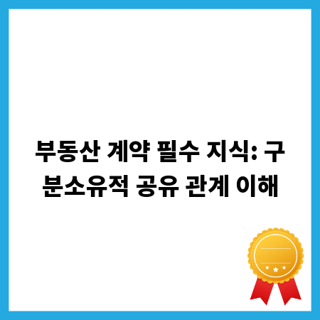 부동산 계약 필수 지식: 구분소유적 공유 관계 이해