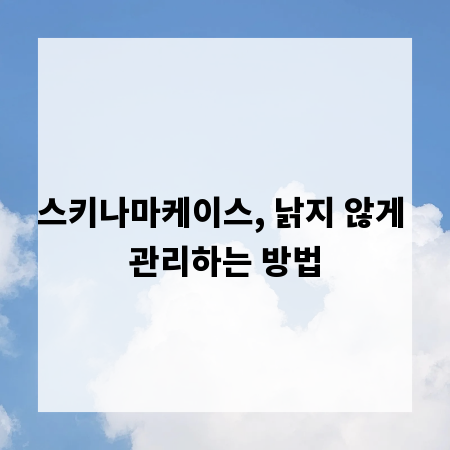 스키나마케이스, 낡지 않게 관리하는 방법