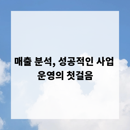 매출 분석, 성공적인 사업 운영의 첫걸음