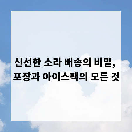 신선한 소라 배송의 비밀, 포장과 아이스팩의 모든 것