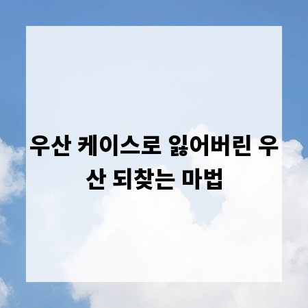 우산 케이스로 잃어버린 우산 되찾는 마법