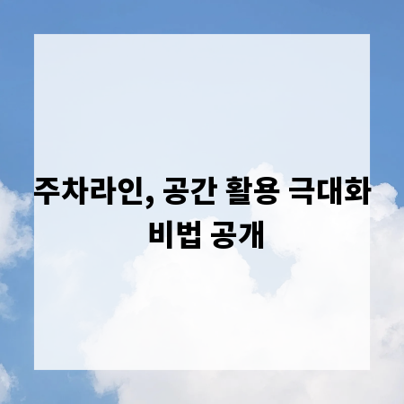 주차라인, 공간 활용 극대화 비법 공개