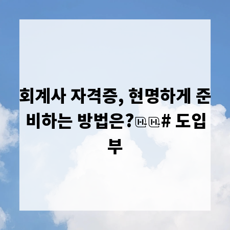 회계사 자격증, 현명하게 준비하는 방법은?

# 도입부