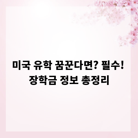 미국 유학 꿈꾼다면? 필수! 장학금 정보 총정리
