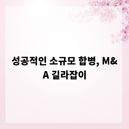 성공적인 소규모 합병, M&A 길라잡이
