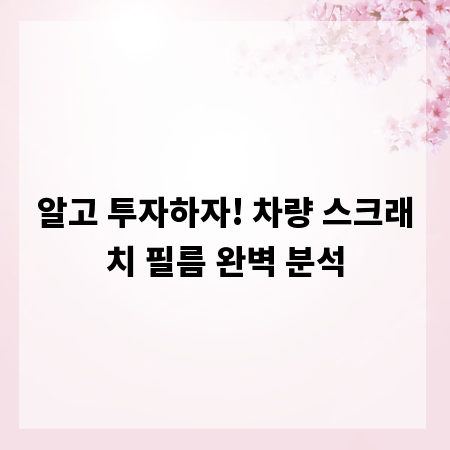 알고 투자하자! 차량 스크래치 필름 완벽 분석