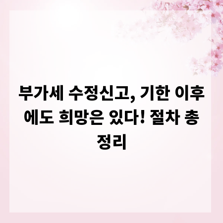부가세 수정신고, 기한 이후에도 희망은 있다! 절차 총정리
