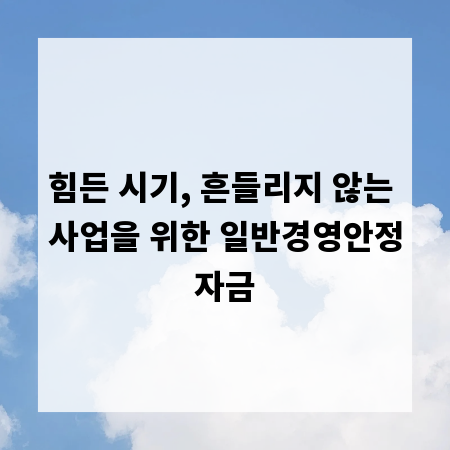 힘든 시기, 흔들리지 않는 사업을 위한 일반경영안정자금