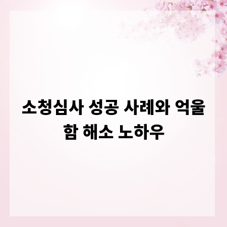 소청심사 성공 사례와 억울함 해소 노하우