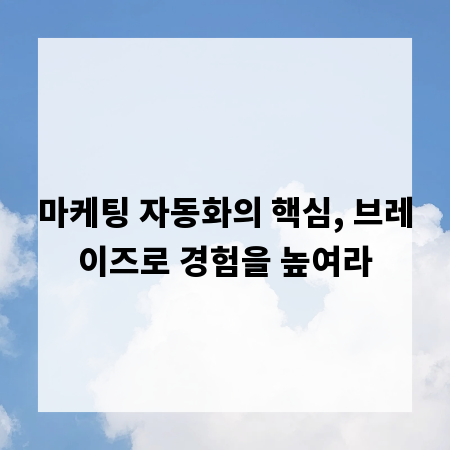 마케팅 자동화의 핵심, 브레이즈로 경험을 높여라