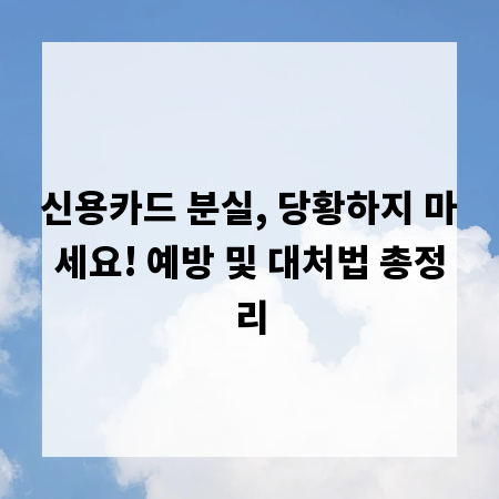 신용카드 분실, 당황하지 마세요! 예방 및 대처법 총정리