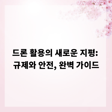 드론 활용의 새로운 지평: 규제와 안전, 완벽 가이드