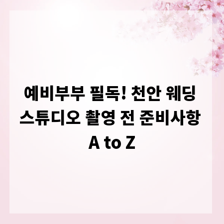 예비부부 필독! 천안 웨딩 스튜디오 촬영 전 준비사항 A to Z