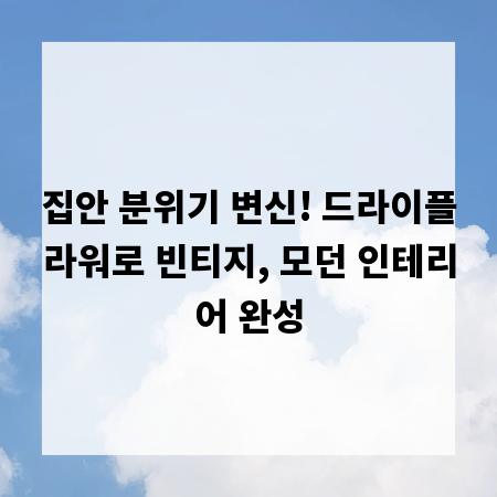 집안 분위기 변신! 드라이플라워로 빈티지, 모던 인테리어 완성