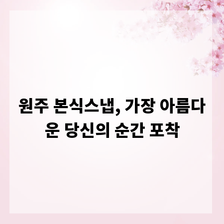 원주 본식스냅, 가장 아름다운 당신의 순간 포착