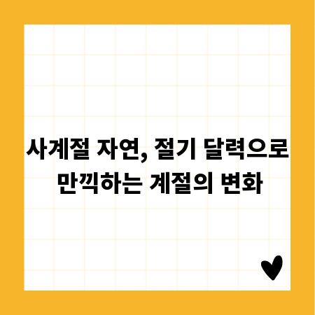 사계절 자연, 절기 달력으로 만끽하는 계절의 변화