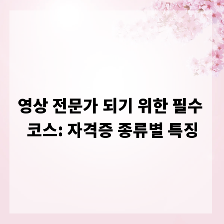 영상 전문가 되기 위한 필수 코스: 자격증 종류별 특징