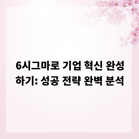 6시그마로 기업 혁신 완성하기: 성공 전략 완벽 분석