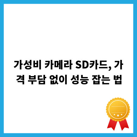 가성비 카메라 SD카드, 가격 부담 없이 성능 잡는 법