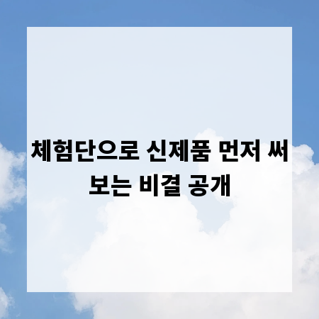 체험단으로 신제품 먼저 써보는 비결 공개