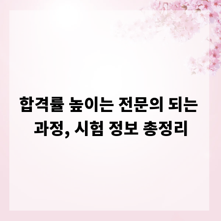 합격률 높이는 전문의 되는 과정, 시험 정보 총정리