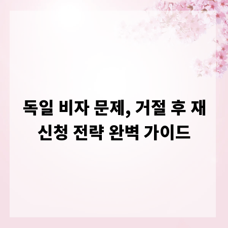 독일 비자 문제, 거절 후 재신청 전략 완벽 가이드
