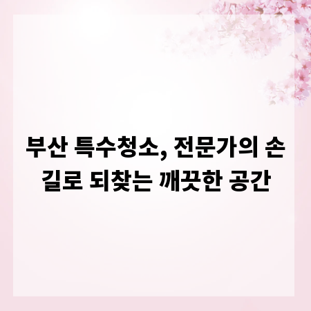 부산 특수청소, 전문가의 손길로 되찾는 깨끗한 공간