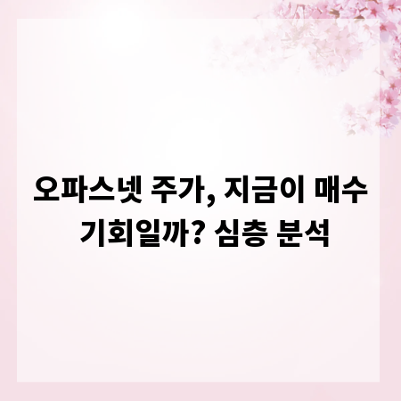 오파스넷 주가, 지금이 매수 기회일까? 심층 분석