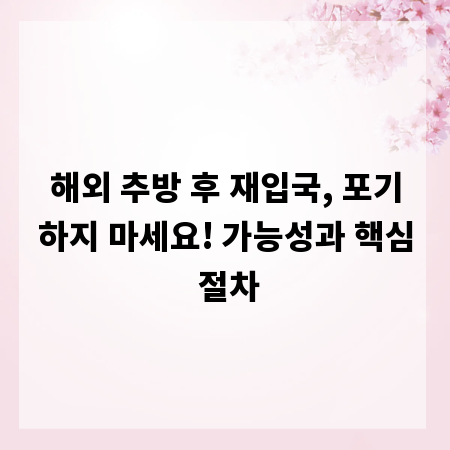해외 추방 후 재입국, 포기하지 마세요! 가능성과 핵심 절차
