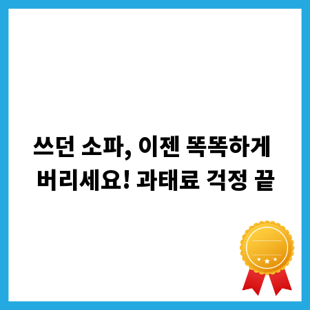 쓰던 소파, 이젠 똑똑하게 버리세요! 과태료 걱정 끝