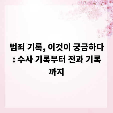 범죄 기록, 이것이 궁금하다: 수사 기록부터 전과 기록까지