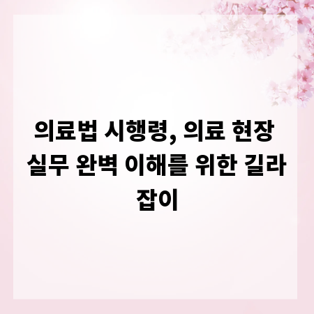 의료법 시행령, 의료 현장 실무 완벽 이해를 위한 길라잡이