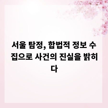 서울 탐정, 합법적 정보 수집으로 사건의 진실을 밝히다