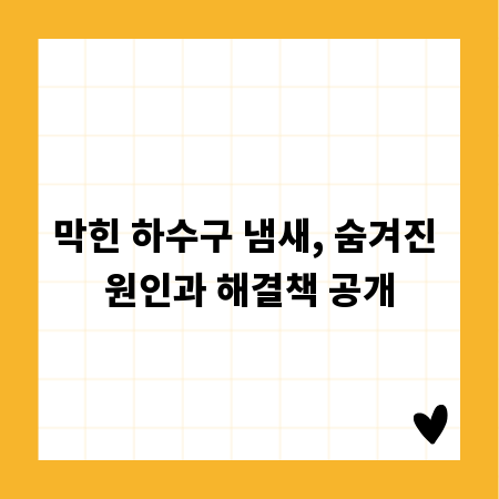 막힌 하수구 냄새, 숨겨진 원인과 해결책 공개