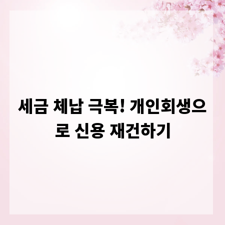 세금 체납 극복! 개인회생으로 신용 재건하기