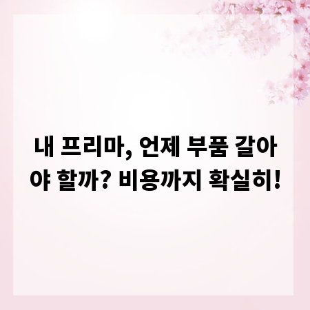 내 프리마, 언제 부품 갈아야 할까? 비용까지 확실히!