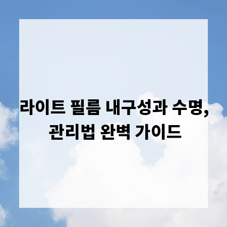 라이트 필름 내구성과 수명, 관리법 완벽 가이드
