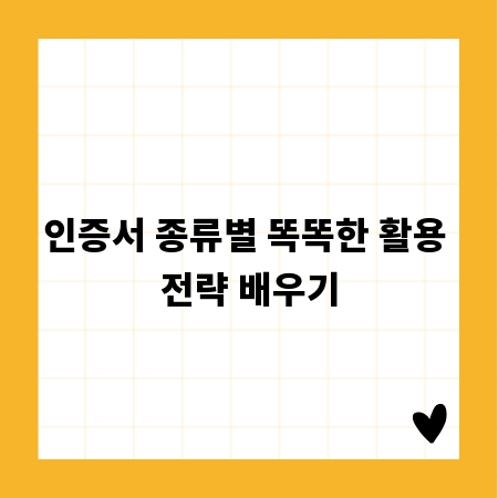 인증서 종류별 똑똑한 활용 전략 배우기