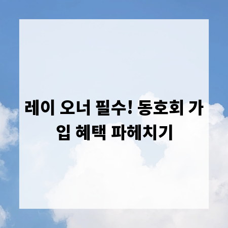 레이 오너 필수! 동호회 가입 혜택 파헤치기