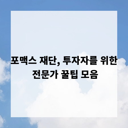포맥스 재단, 투자자를 위한 전문가 꿀팁 모음
