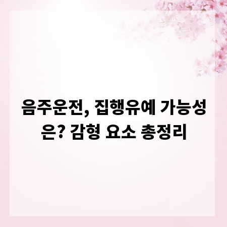 음주운전, 집행유예 가능성은? 감형 요소 총정리