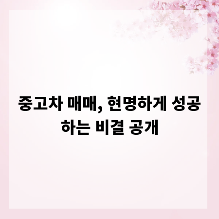 중고차 매매, 현명하게 성공하는 비결 공개