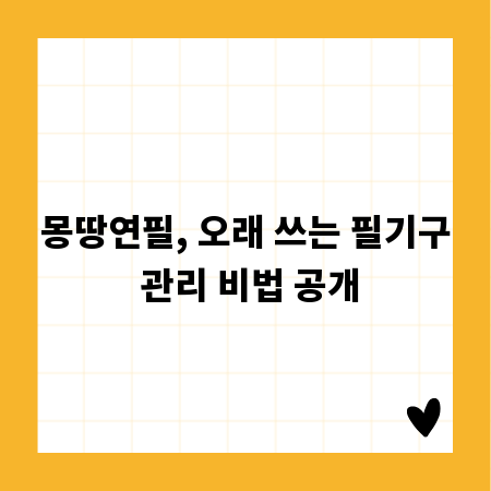 몽땅연필, 오래 쓰는 필기구 관리 비법 공개