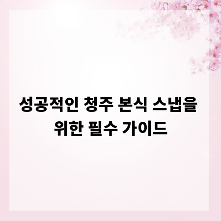 성공적인 청주 본식 스냅을 위한 필수 가이드