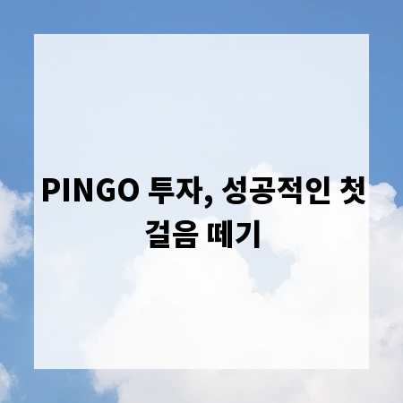PINGO 투자, 성공적인 첫걸음 떼기