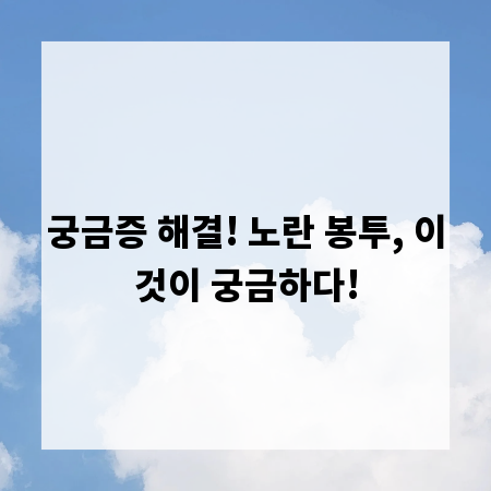 궁금증 해결! 노란 봉투, 이것이 궁금하다!